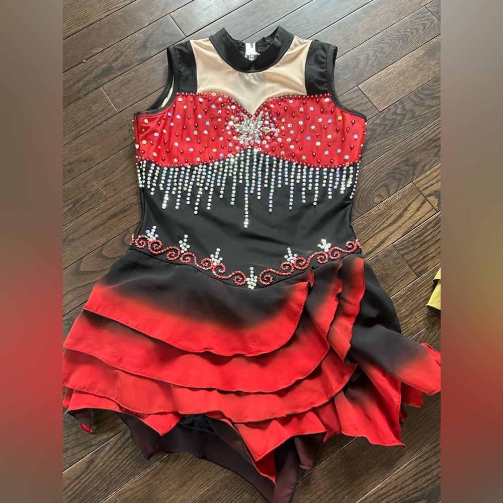 Beautiful custom made skating dress.